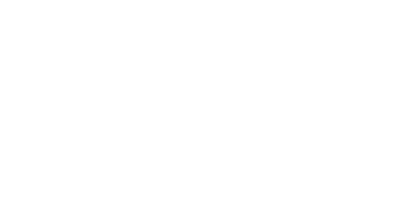 Cactus Jack
