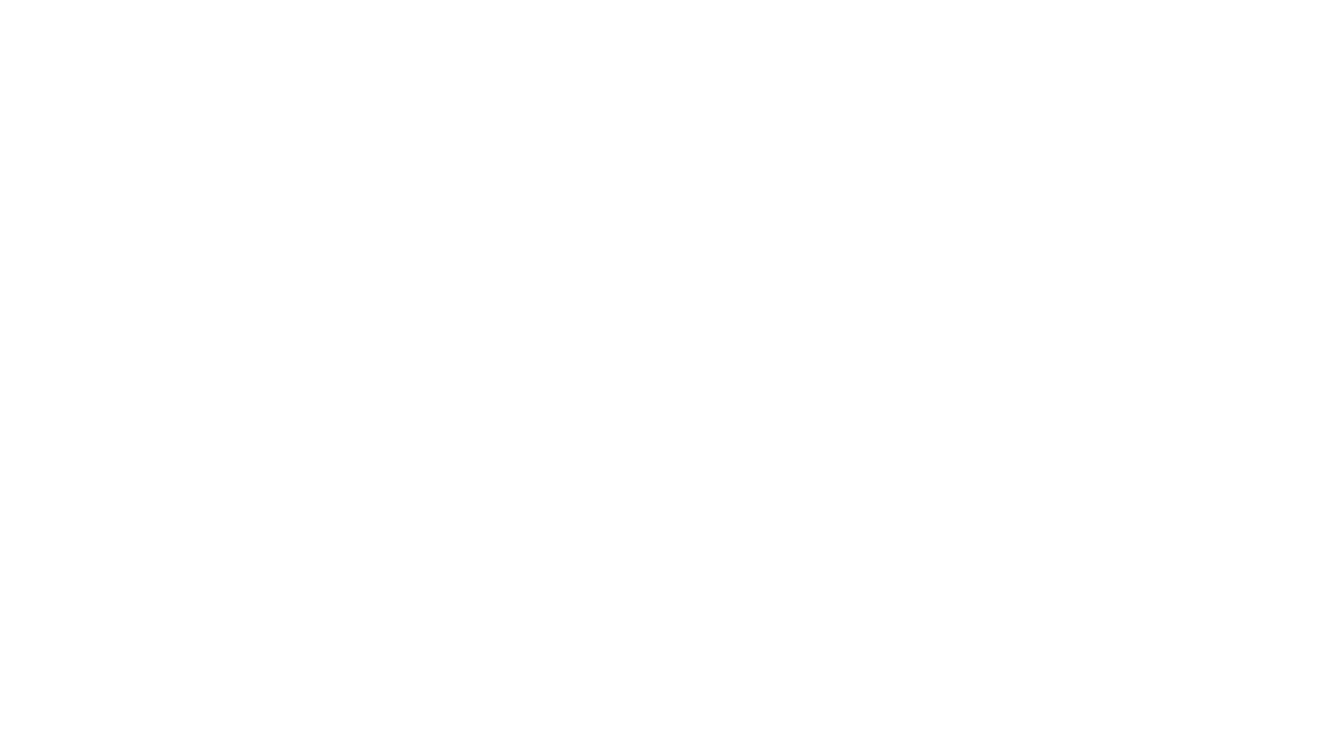 Evisu