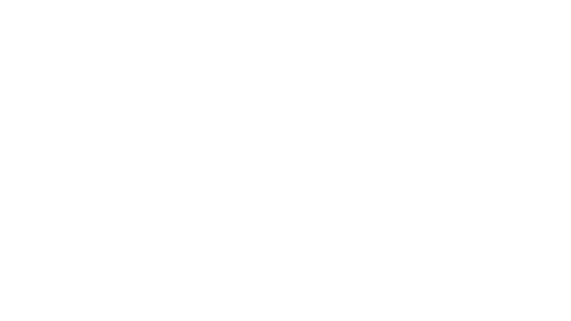 Evisu