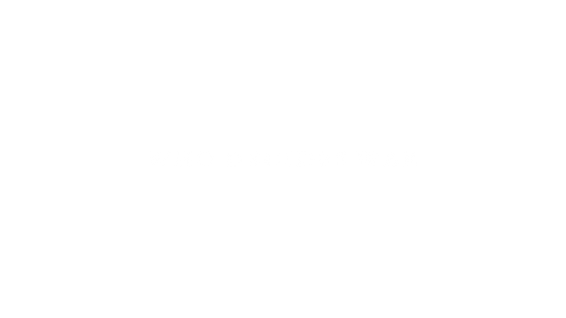 Who Decides War