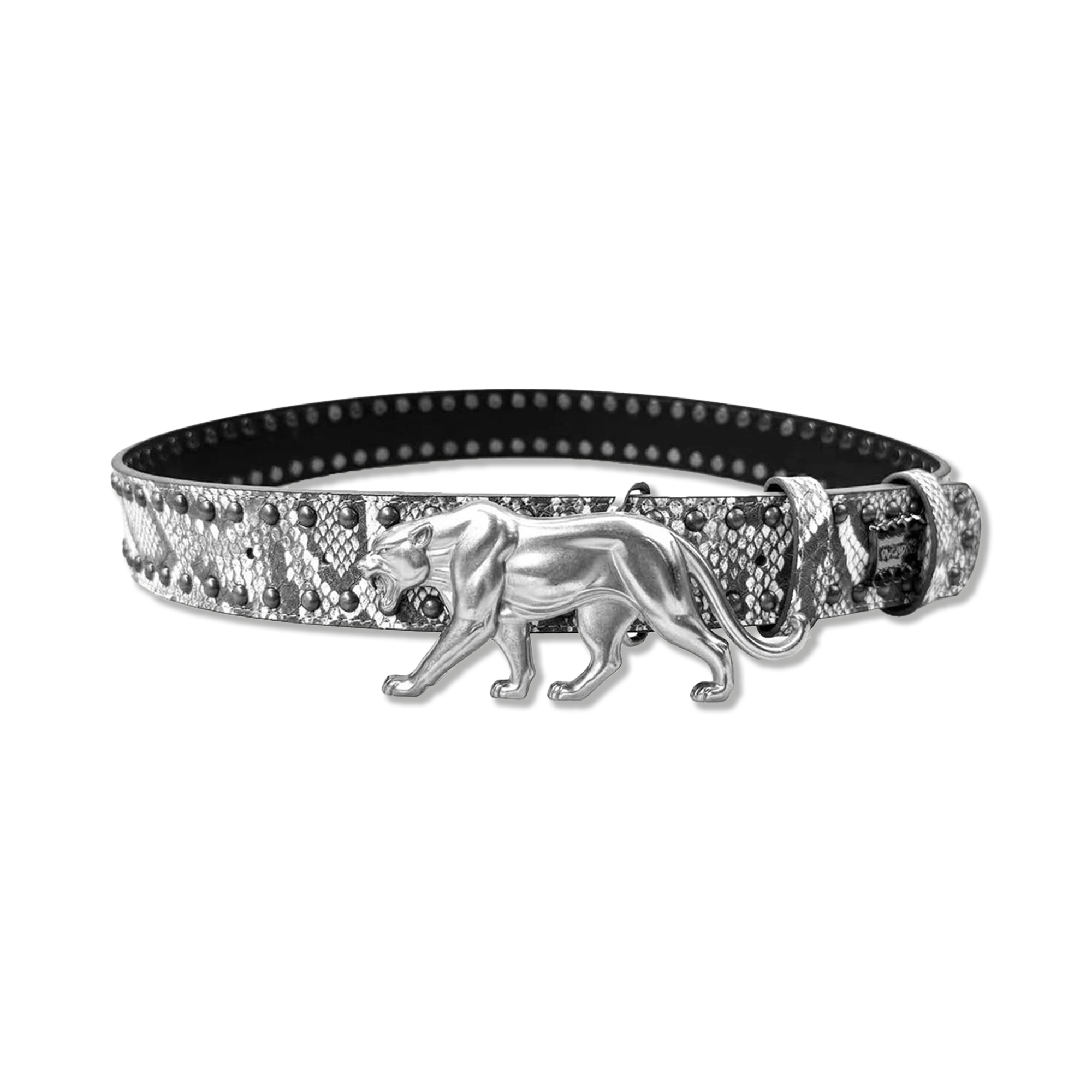 Panther Belt "Artic Snake"