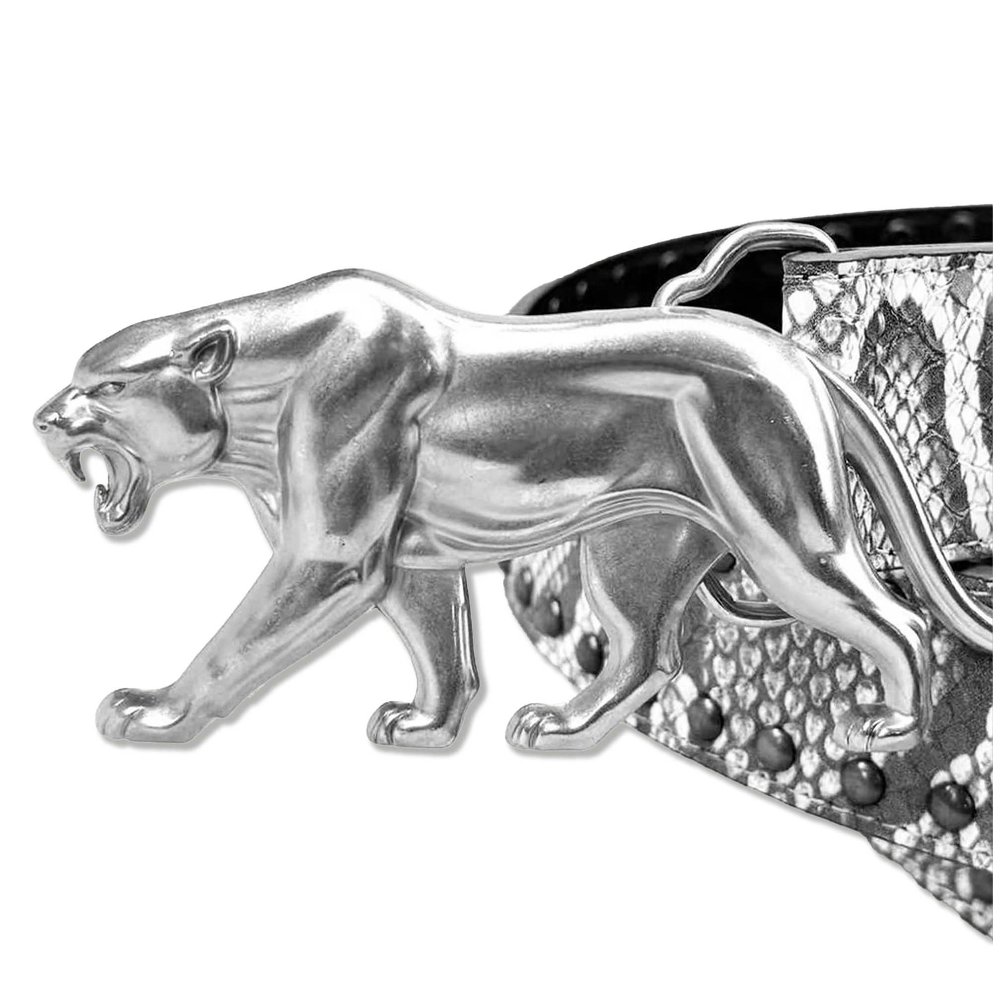 Panther Belt "Artic Snake"